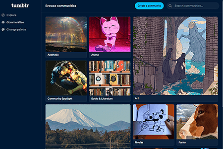 Tumblr website in 2024